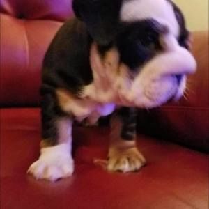 Meet your Posher, Shawn